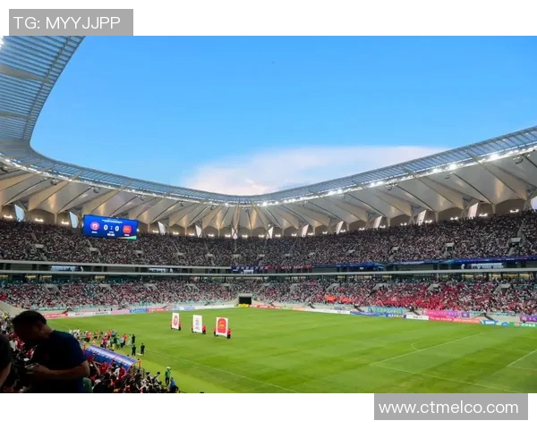 各大足球坛明星球员全景图鉴赏与详细介绍